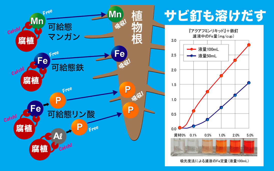 錆びた釘も溶けだす