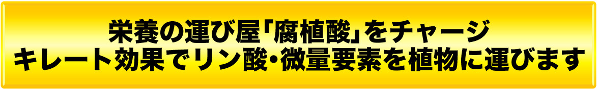 栄養の運び屋「腐植酸」をチャージ　キレート効果でリン酸・微量要素を植物に運びます