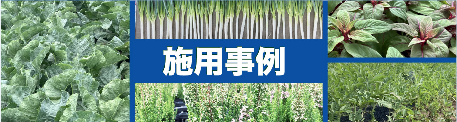 施用事例