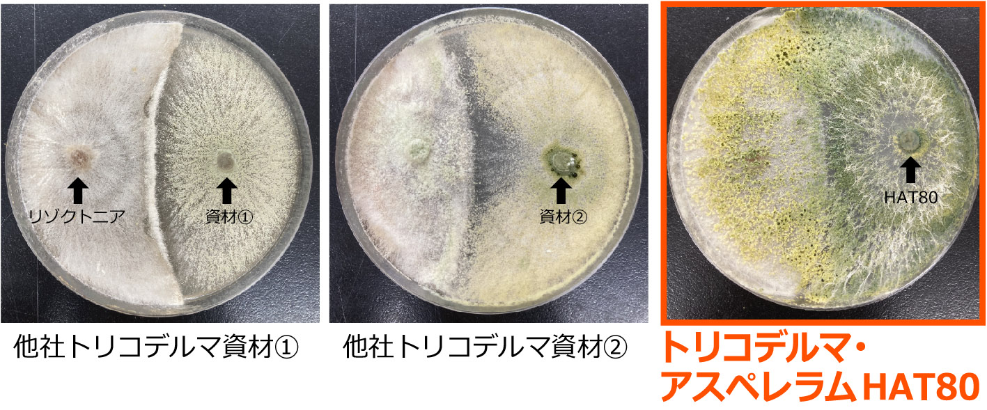 優れた生存性、微生物に対する拮抗作用