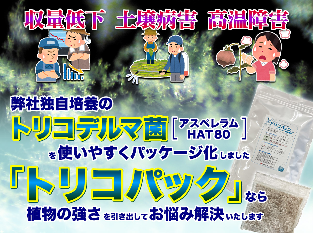 お悩み解決トリコデルマ