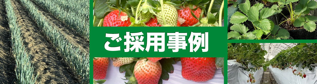 ご採用事例